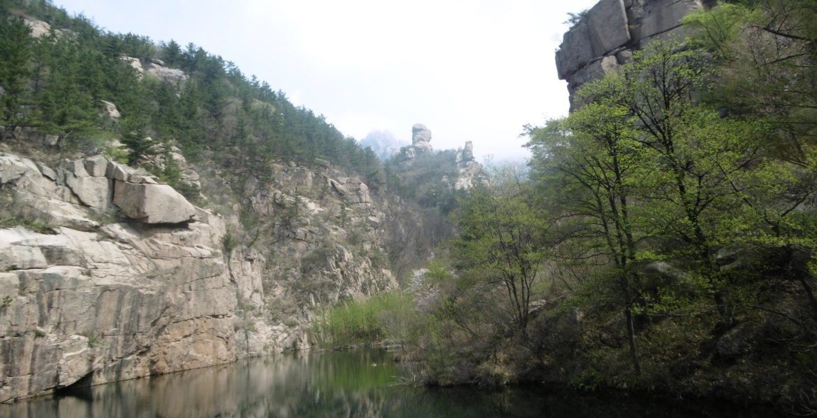 P1000347