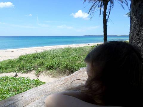 seaview2