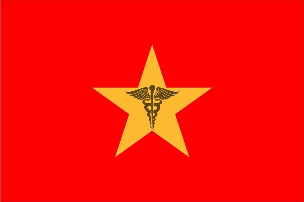 Healthcare in Vietnam